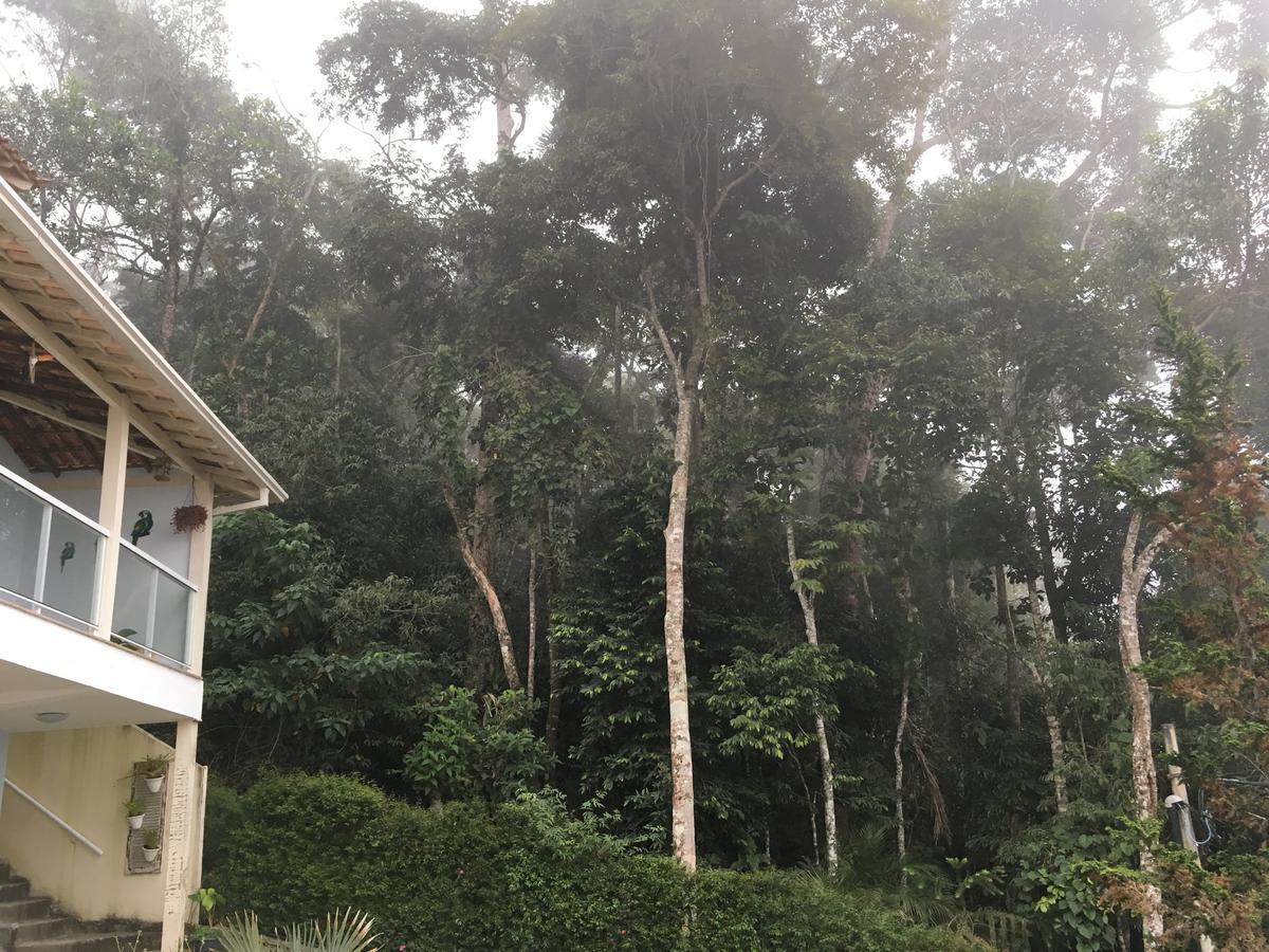 In Garden * Teresopolis